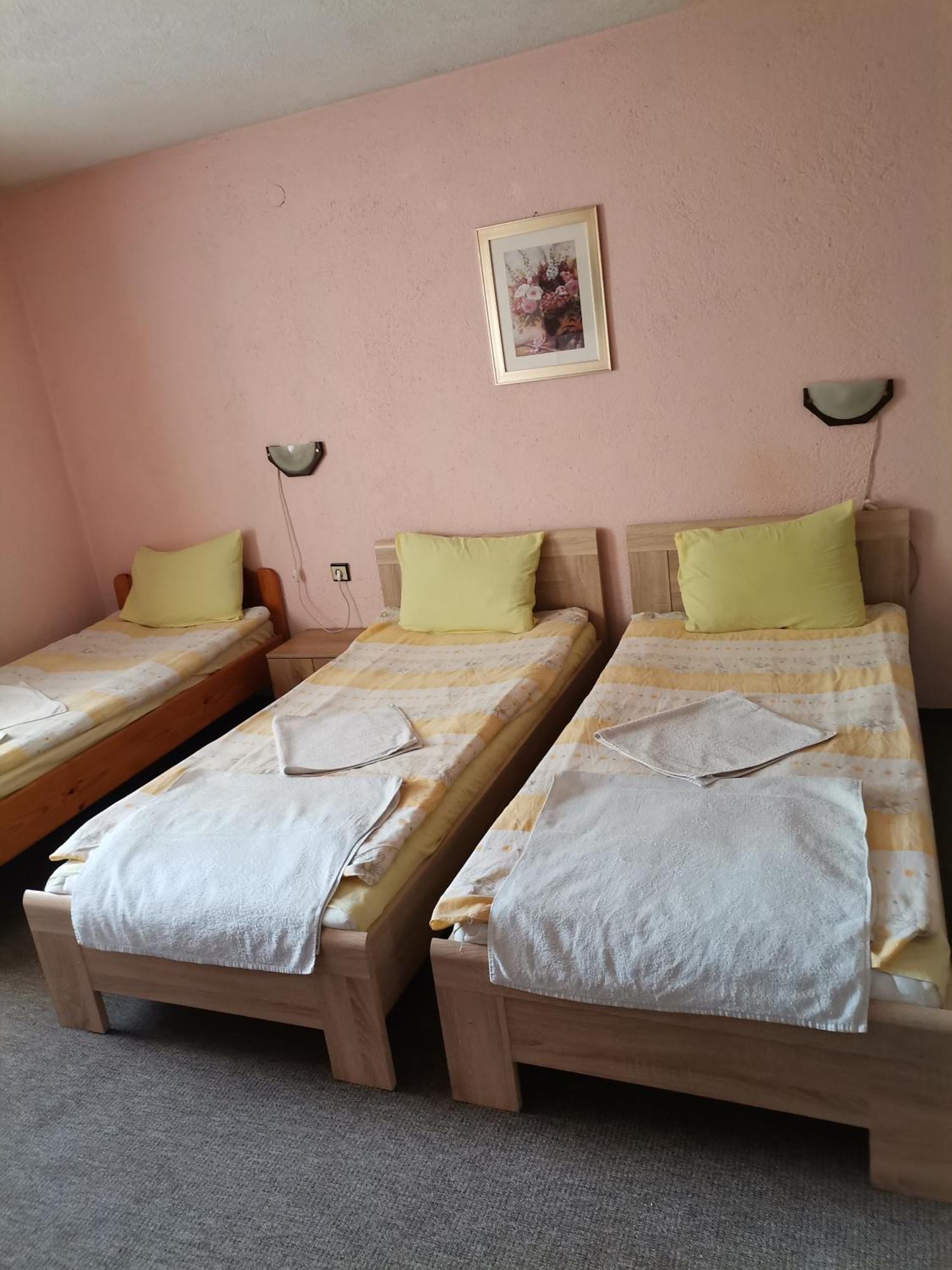 Family Hotel Santo บันสโก ภายนอก รูปภาพ